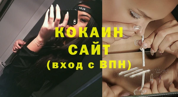ПСИЛОЦИБИНОВЫЕ ГРИБЫ Абаза